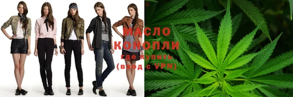 дживик Надым