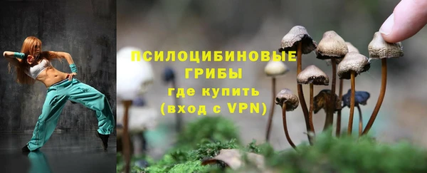 дживик Надым