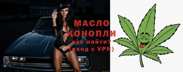 дживик Надым