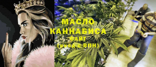 дживик Надым