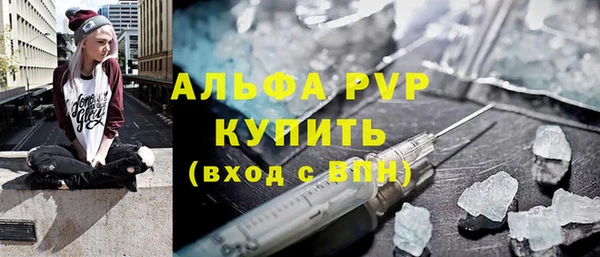 дживик Надым